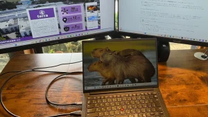 念願のデュアルモニター実現！USB-Cポートが超快適だった！